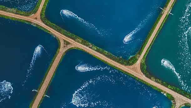 Viewpoints from the Global Investment Committee